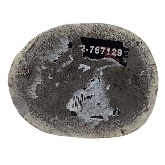 Hand Prop Halloween Decor Fortune Teller Astrology Palmistry Metaphysical Occult - Picture 3 of 7